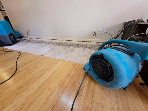 Professional Water Damage Repair technician working in Portland, IN